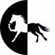 silentblackhorse