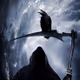 Raven222