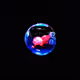 casseoDigital