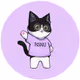 StrayCatPal