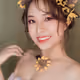 0xcf1b044cd7e8510445f33d4dd6bfe1feddb9d6a8