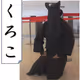 kuroko_3