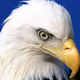 0xcf92a3cb35abb47be93205b6e6fe1943c7a240ec