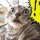 0xcfb22e716facce1320062b885e1cc28236d4ca99