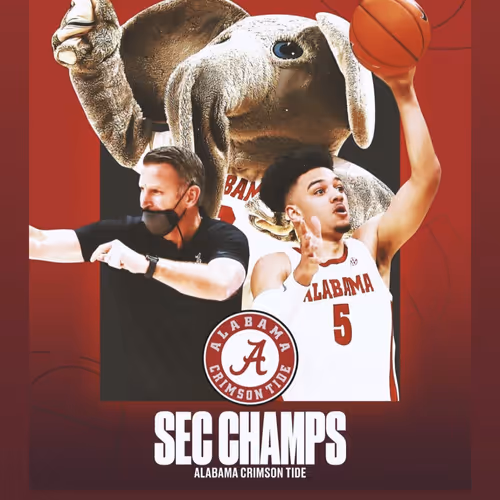 OpenSea profile picture for @SEC