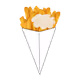 ricolebelge