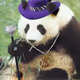 0xcfea01f7f051fbddf7c09fdf84cf18bca82a1f79