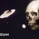 skullfrot
