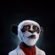 PrimePandaApe