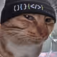 huhcat