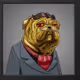 TuckerHump