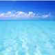 winss0009