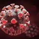 KVirus