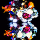 braincellsinapetridish_Collected