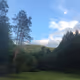 EarthRae