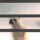 ak0ka