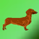 DigitalDoxies