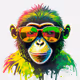 Adam_Rollo