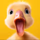 0xd1136ea7744ed2a9d844b852da1d0f1cda3eff5f