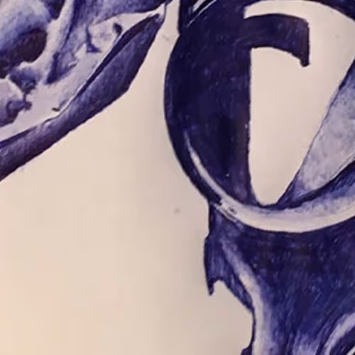 OpenSea banner for @Indifference