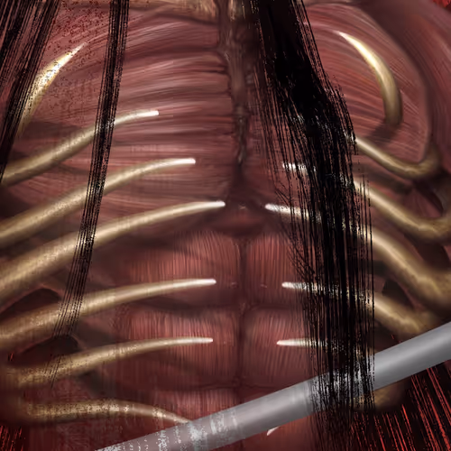 OpenSea banner for @VeCeeARTs