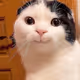 Ru1Ns-