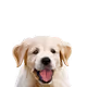 Doggy69eatmyass