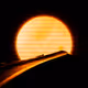 NightOwl97