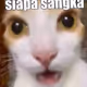 Suneatrz