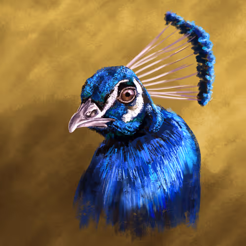 OpenSea profile picture for @TAVOS