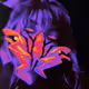 st_eris