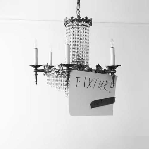 OpenSea profile picture for @Fixture