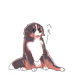 aganokami