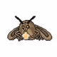 0xd1a1d21fae572257a106eace8c7554d3b3ffa898