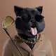 nfteezy13