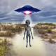 Alien_X_Doge