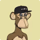 Ape300Vault