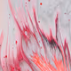 0xd22d82dcdcd41aa9ea9436b41bc88dc9dd4bfbeb