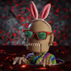 Gio_The_Companion
