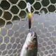 0xd27e796f90d04fb23b2684c1fe29b2b828617e08