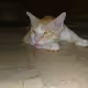 mnoubaig