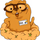 DocMarmott