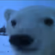 0xd2b529bcc6b6cc77d8d60c4bf81fce15157b986c