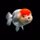 0xd2bc4e7ecfa4ec39069623854cd114dcd8771b84