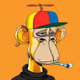 Mr-Palash