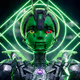 CryptoRowz1