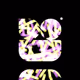 0xd2e788b8e97333b06ecbfdc9f7c6381e611caa83