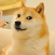 doge_pump