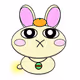 usaginoSIPPO