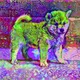 ShibaHanji
